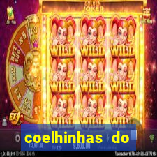 coelhinhas do brasil acompanhantes